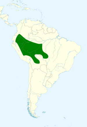 Aratinga weddellii map.svg