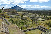 Archaeological zone of Cantona.jpg