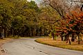 Ataturk Avenue - Islamabad