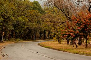 Ataturk Avenue - Islamabad