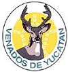 Atletico yucatan