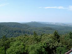 Blick-über-den-Teutoburger-Wald2