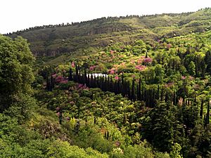 Botanic Garden, Tbilisi