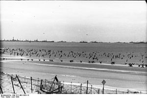 Bundesarchiv Bild 101I-493-3363-13, Frankreich, Strandbefestigungen