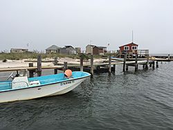 Cottages at Captree Island