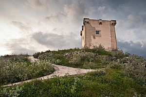 Castillo de Cocentaina 2