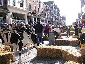 Chester Cheese Rolling Competition 2008 in Chester, England