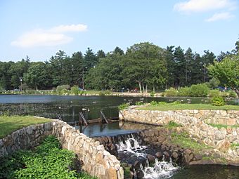 D.W. Field Park, Brockton MA.jpg