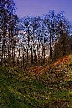 Danebury encircling ditch 2007