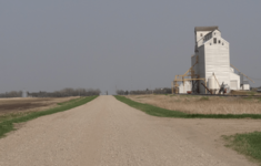 Deloraine grain elevator