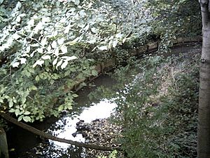 Dollis Brook