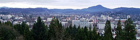 Eugene skyline crop