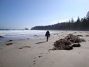 Experiment Bight Cape Scott