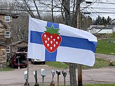 Flag of Chassell, MI