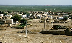 Harran Ovası 25.09.2001 GAP-Bewässerungsoase