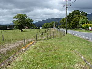 Mangaroa railway station 02