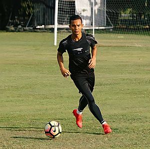 Mohd Faiz Subri.jpg