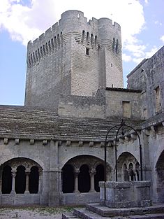 Montmajour-Cloître2