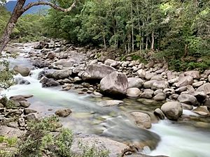 Mossman Gorge, Queensland, July 2020, 01