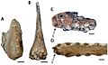 Ornithocheirus & Tropeognathus