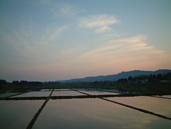 Paddy fields Akita