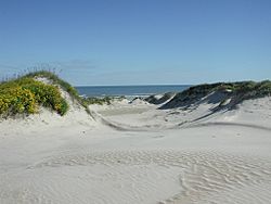 Padre Island National Seashore - sand dunes3