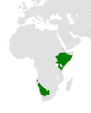 Polihierax semitorquatus distribution map.svg