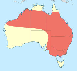 Pseudagrion aureofrons distribution map.svg