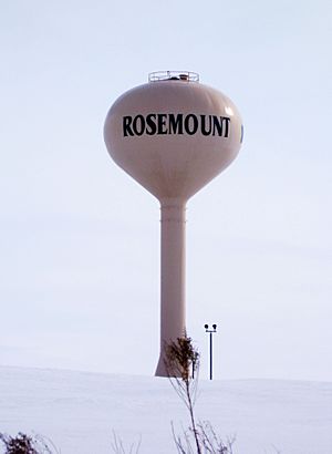 Rosemount water tower