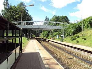 Runcorn East railway station - DSC06724
