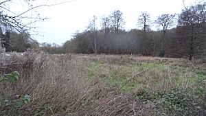 Sarratt Bottom SSSI 2.JPG