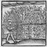 Sukkot woodcut