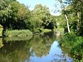 Summer fly fishing on the River Avon - geograph.org.uk - 70170