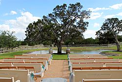 Twisted Ranch Oatmeal Texas 2014