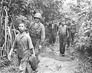 USA-P-Papua-p321 EMACIATED PRISONERS BEING LED TO THE REAR AREA for questioning. milner