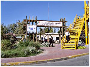 Vivero de lerdo