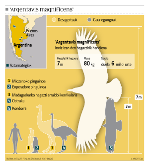 62628-Argentavis-hegazti-erraldoia