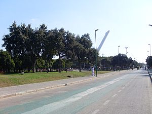 Avenida alamillo.JPG