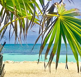 Bahia Honda Florida Keys.jpg