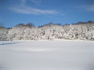 Beaver Valley beautiful in white..