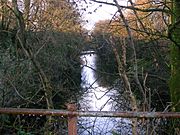 Bellcraig old quarry