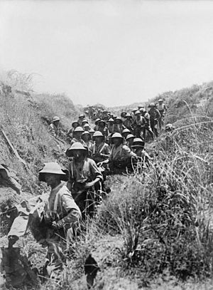 Black Watch in Palestine June 1918 IWM photo Q 012484