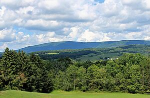 Blue Knob Massif from Sproul