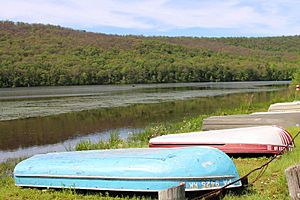 Boats at Lily Lake