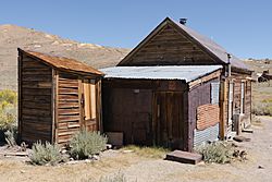 Bodie September 2016 049.jpg