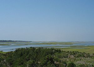 Bogue Sound