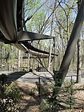 Canopy walk atlbotgarden