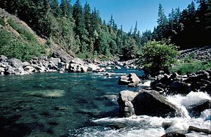 Chetco River2.jpg