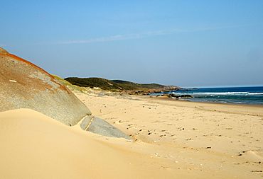 Croajingolong beach.jpg