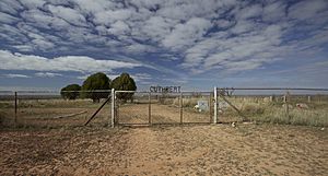 Cuthbert Cemetery